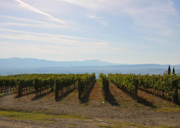 Wine Loft * Bagno Vignoni