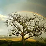 Wine Loft * Баньо-Виньони