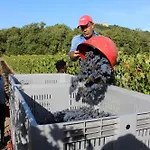 Апартаменты Wine Loft Баньо-Виньони