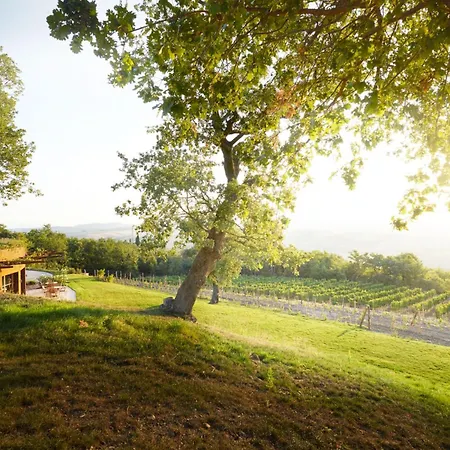 Wine Loft Daire Bagno Vignoni