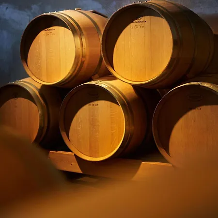 Daire Wine Loft