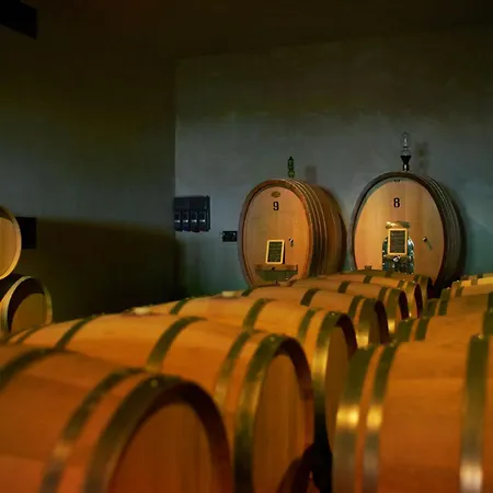 公寓 Wine Loft 圣奎里科