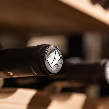 Wine Loft 圣奎里科