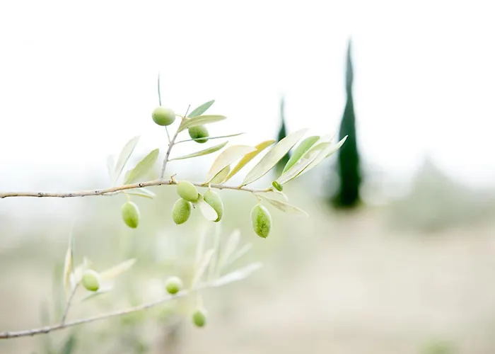 Apartment Wine Loft Bagno Vignoni