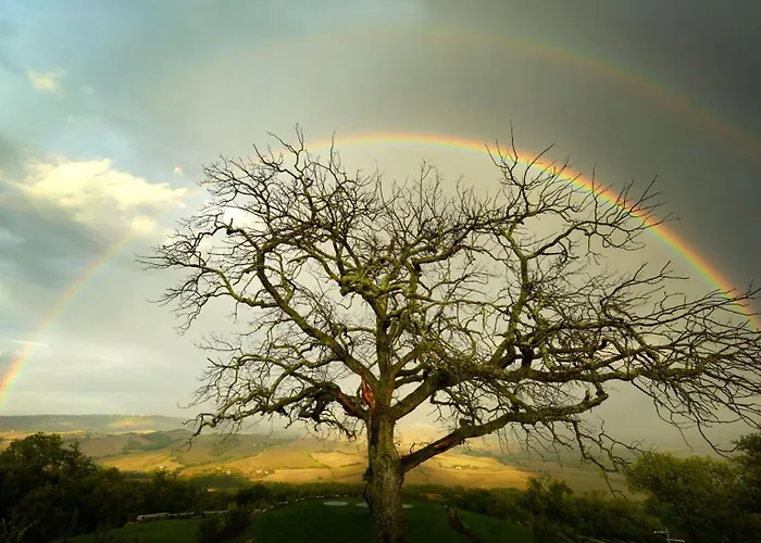 Wine Loft * Bagno Vignoni