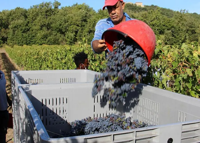 Apartment Wine Loft Bagno Vignoni